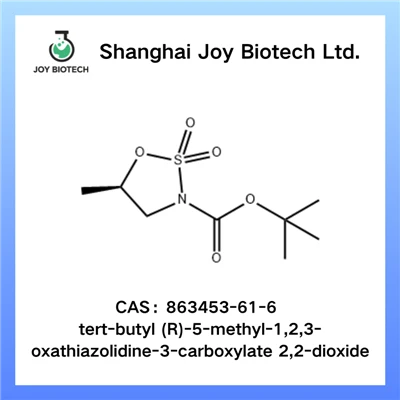 Tert-butil (R)-5-metil-1,2,3-ossatiazolidin-3-carbossilato 2,2-diossido N. CAS 863453-61-6